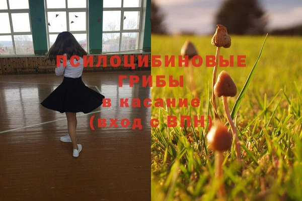 каннабис Алексин