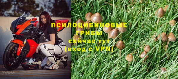 молекула духа Алзамай