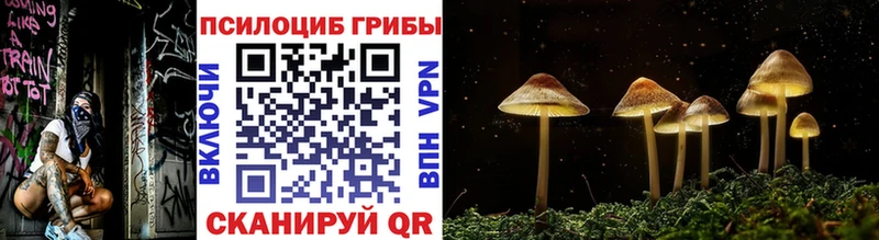 blacksprut ссылка наркота Дедовск Галлюциногенные грибы Cubensis