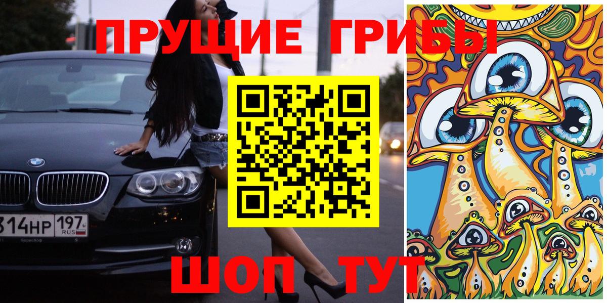 Псилоцибиновые грибы Psilocybine cubensis Дедовск