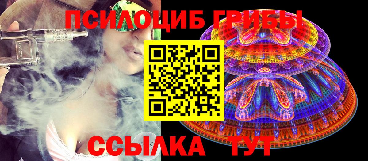 Галлюциногенные грибы Psilocybine cubensis  наркота  Вход с VPN  Дедовск  Псилоцибиновые грибы Cubensis 